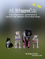 Shop/Cats/All Wrapped Up: Improving function, performance & behavior with Tellington Body Wraps/All_Wrapped_Up_Improving_function_performance_behavior_with_Tellington_Body_Wraps-Smallest.jpg