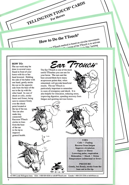 TTouch® of Magic Cards for Horses
