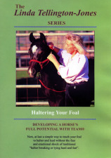 Haltering Your Foal Without Trauma DVD