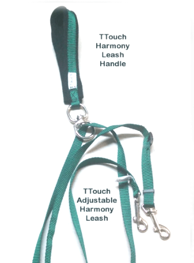 TTouch® Harmony Leash & Handle set