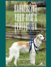 Harnessing Your Dog's Perfection