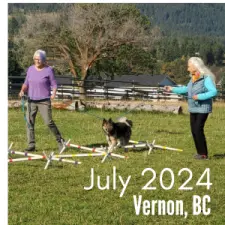 Tellington TTouch® Advanced Training for Dogs