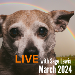 Interactive & Online Supporting Aging and End of Life for Dogs