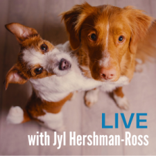Interactive & Online Integrating a New Pet into Your Household