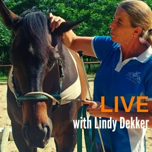 Tellington TTouch® for You & Your Horse