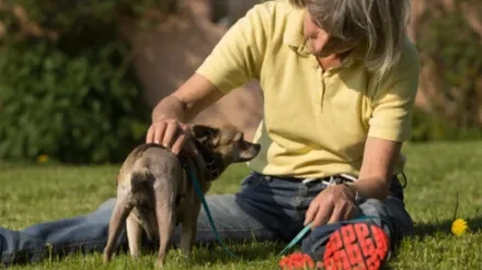 Tellington TTouch Dog and Small Animal Training
