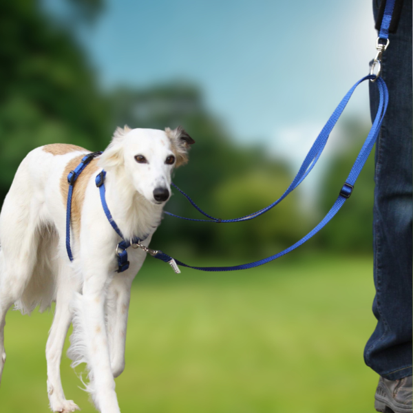 TTouch® Harmony Leash & Handle set