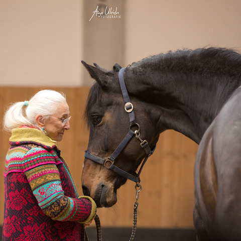 Unlock Your Horse’s Potential