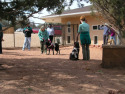 Training participants and BF dogs in outdoor area.