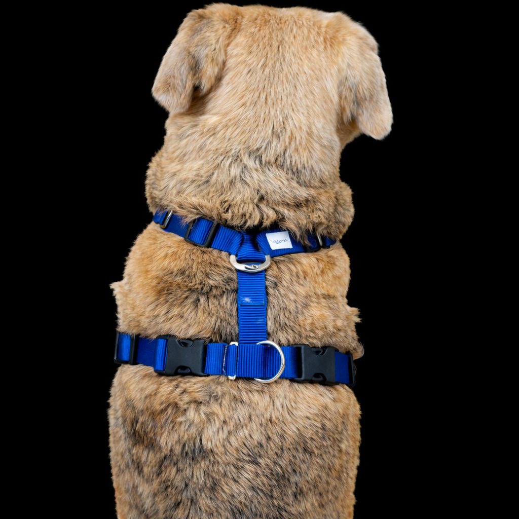 TTouch® Harmony Harness