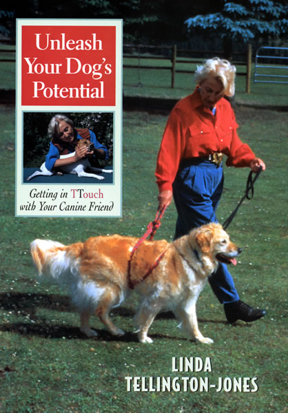 Unleash Your Dog's Potential
