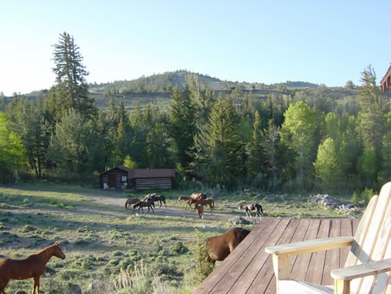 Typical Cabin View 1895 Fs