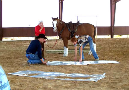 TTEAM plastic work to accustom a horse to unusual things.