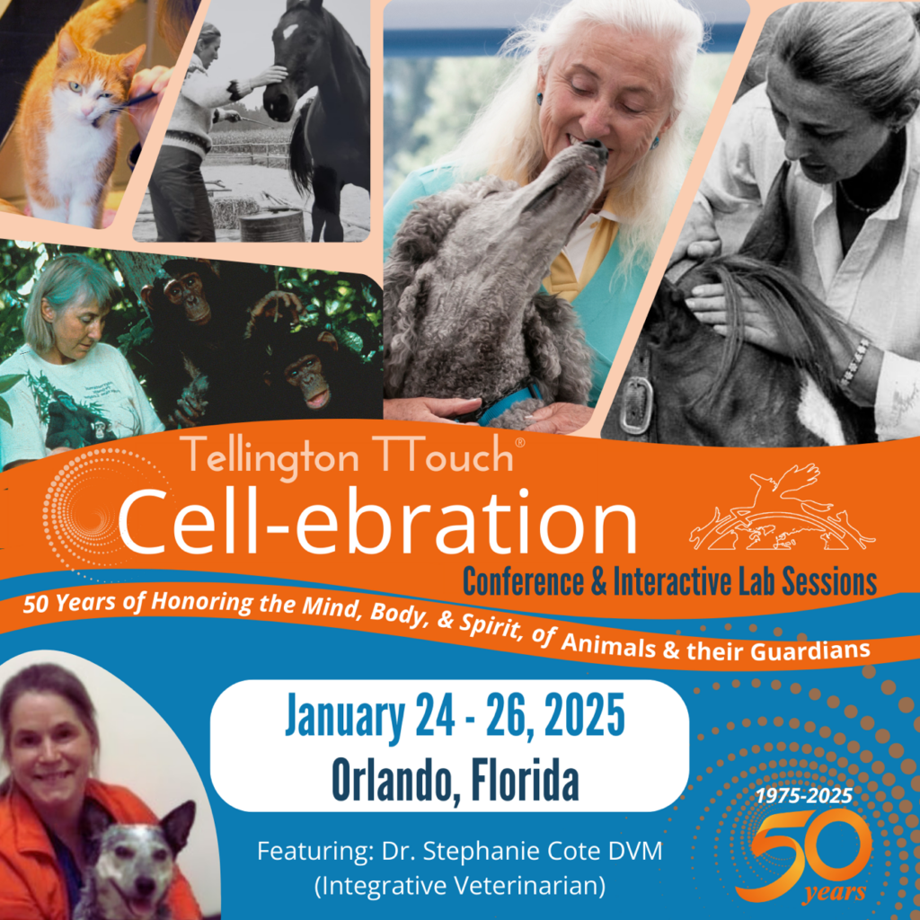 Tellington Ttouch Celebrates 50 Years!